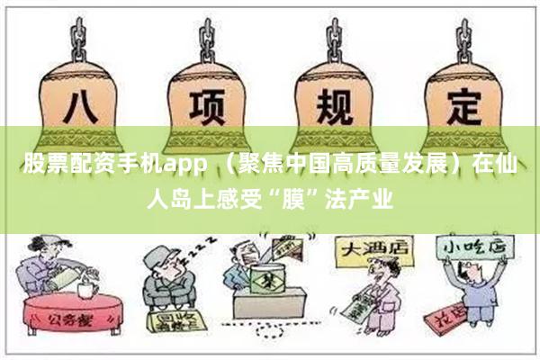 股票配资手机app （聚焦中国高质量发展）在仙人岛上感受“膜”法产业