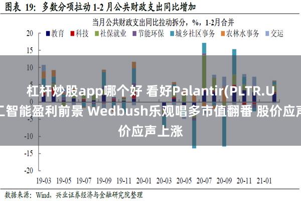 杠杆炒股app哪个好 看好Palantir(PLTR.US)人工智能盈利前景 Wedbush乐观唱多市值翻番 股价应声上涨