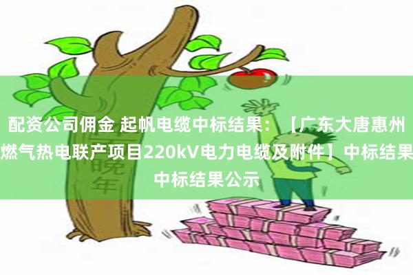 配资公司佣金 起帆电缆中标结果：【广东大唐惠州博罗燃气热电联产项目220kV电力电缆及附件】中标结果公示