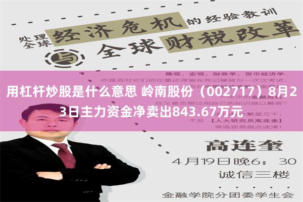 用杠杆炒股是什么意思 岭南股份（002717）8月23日主力资金净卖出843.67万元